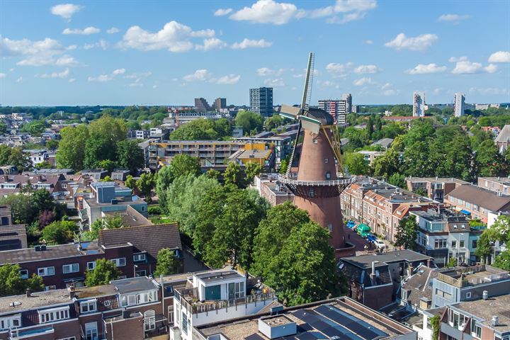 Bekijk foto 60 van Bemuurde Weerd O.Z. 29