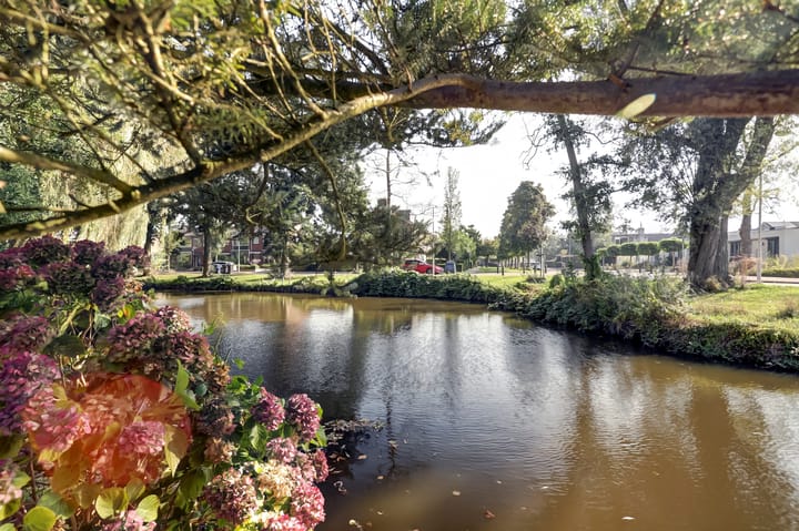 Foto 47 van Dokter Hiemstralaan 6