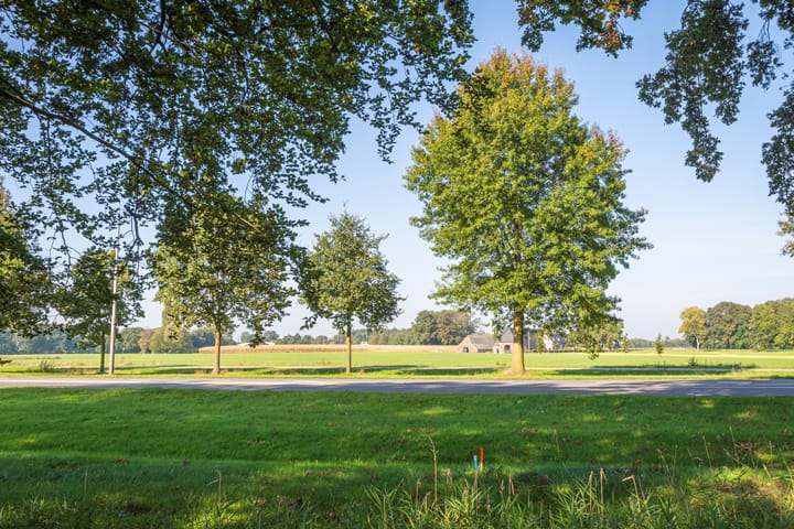 Foto 8 van Deldensestraat