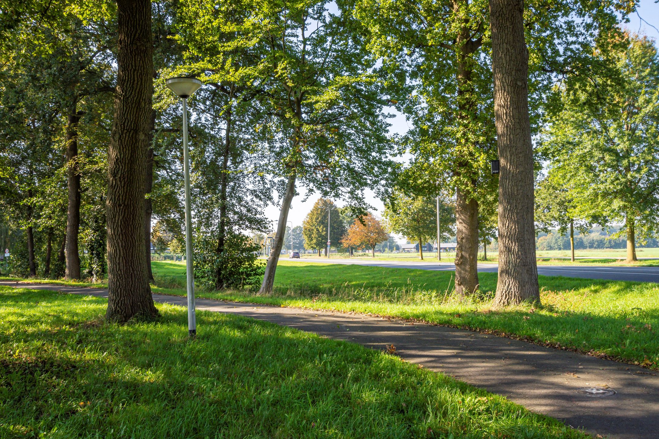 Foto 9 van Deldensestraat