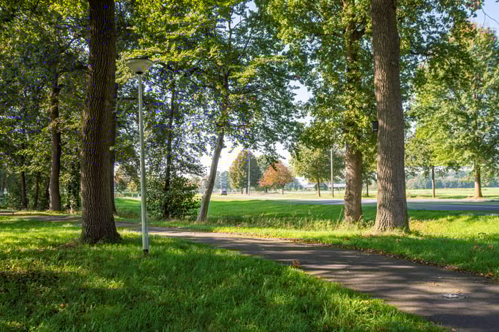 Foto 9 van Deldensestraat