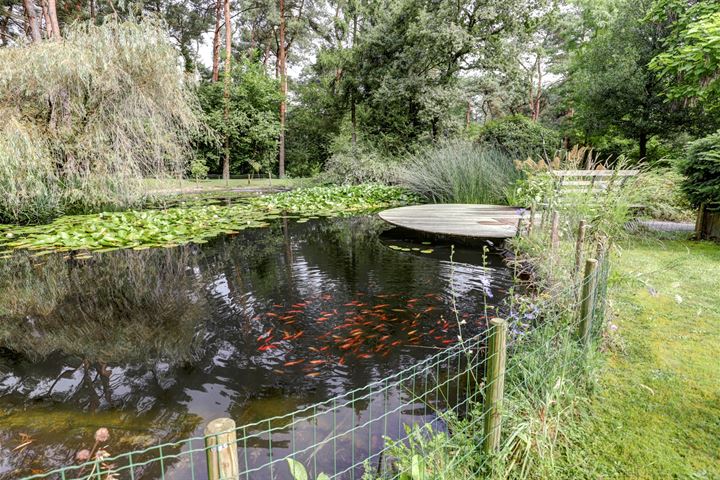 Bekijk foto 9 van Postelscheheideweg 2