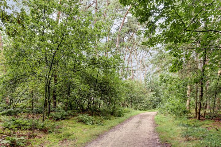 Bekijk foto 88 van Postelscheheideweg 2