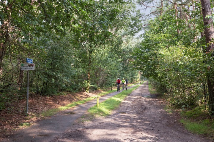 Bekijk foto 63 van Postelscheheideweg 2