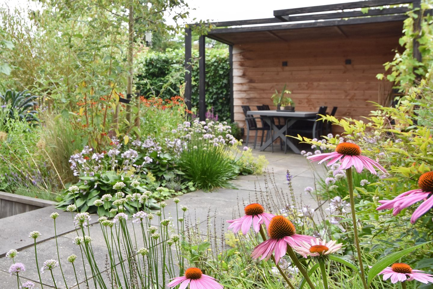 Photo 5 of Blauw Glidkruid 4