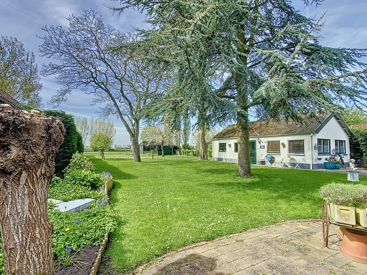 Photo 27 of Oostburgsestraat 10-A