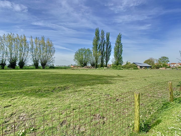 Photo 31 of Oostburgsestraat 10-A