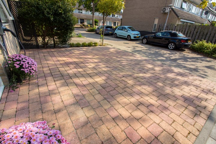 Foto 5 van Dubloen 73