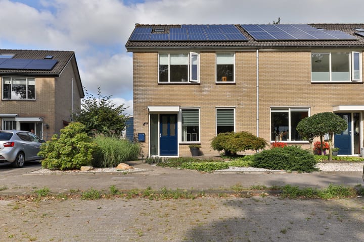 undefined main image