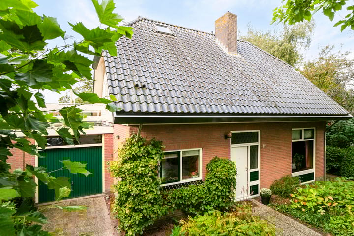 undefined main image