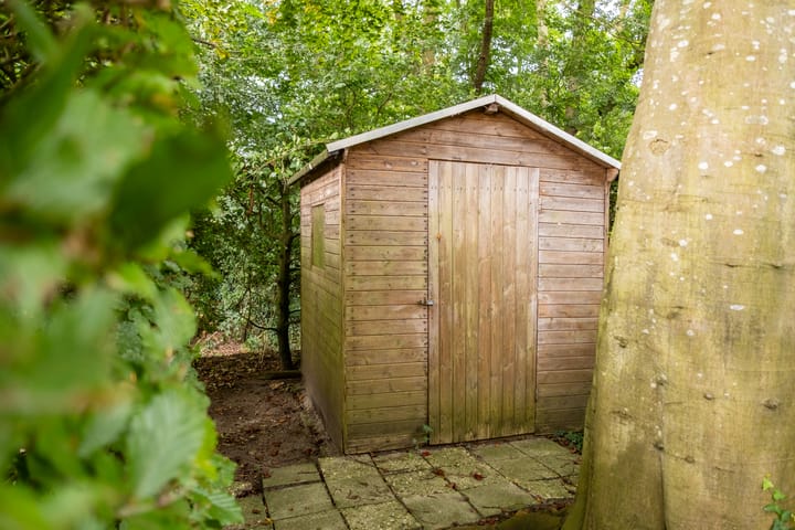 Foto 37 van Braamlaan 2