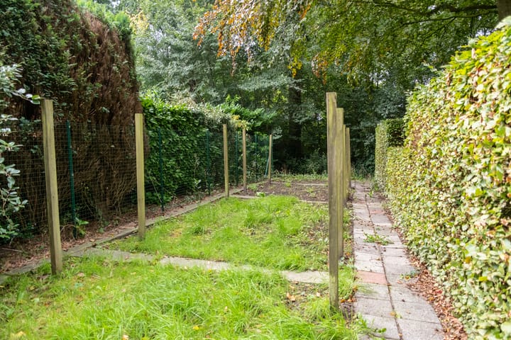 Foto 40 van Braamlaan 2