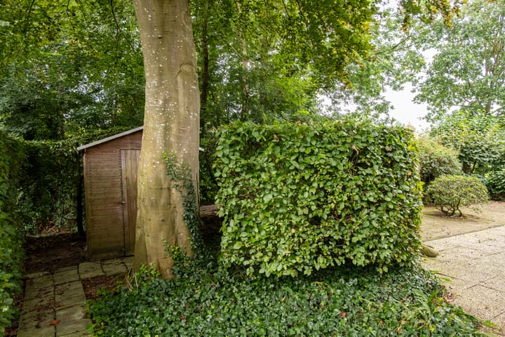 Foto 38 van Braamlaan 2