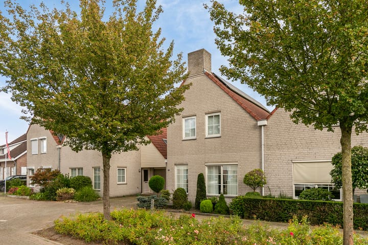 Foto 6 van Helmkruid 15