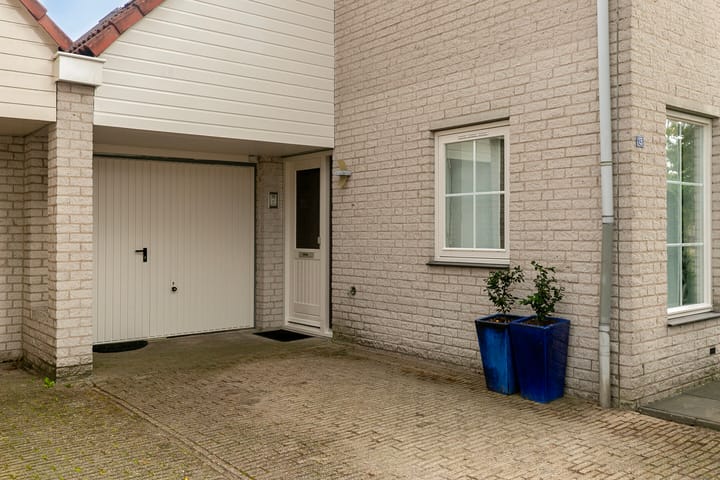 Foto 7 van Helmkruid 15