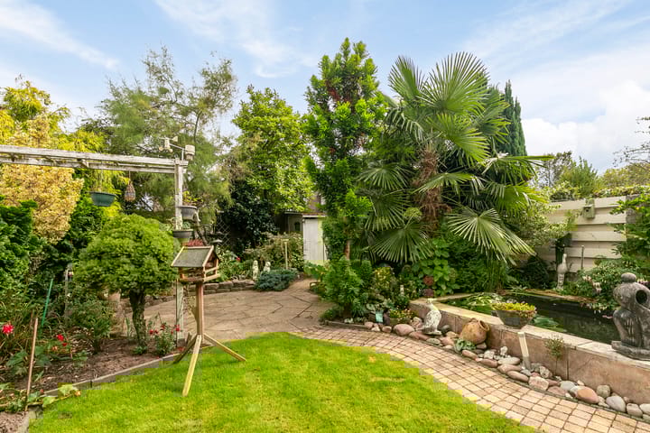 Foto 29 van Helmkruid 15