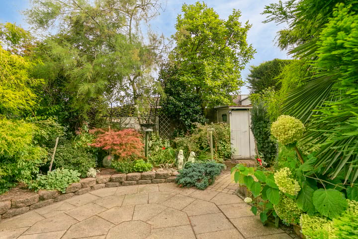 Foto 30 van Helmkruid 15