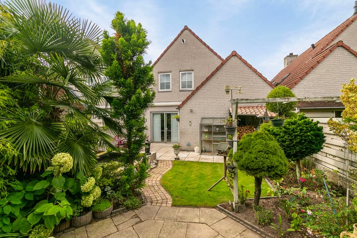 Foto 5 van Helmkruid 15