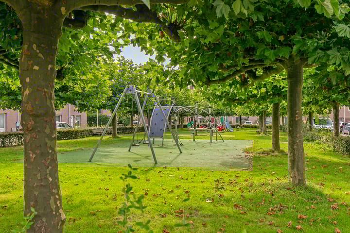 Foto 32 van Helmkruid 15