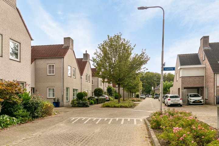 Foto 35 van Helmkruid 15