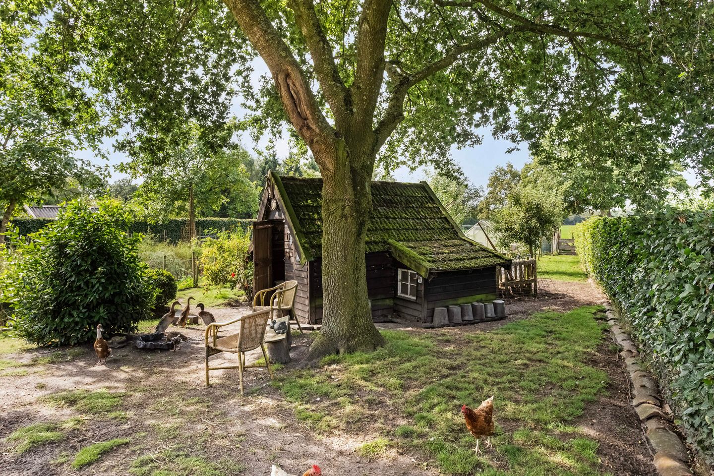 Foto 65 van Lugtenbergerweg 19