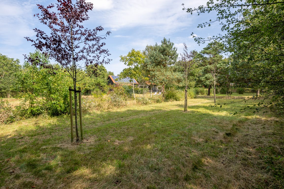 Photo 55 of Julianaweg 1