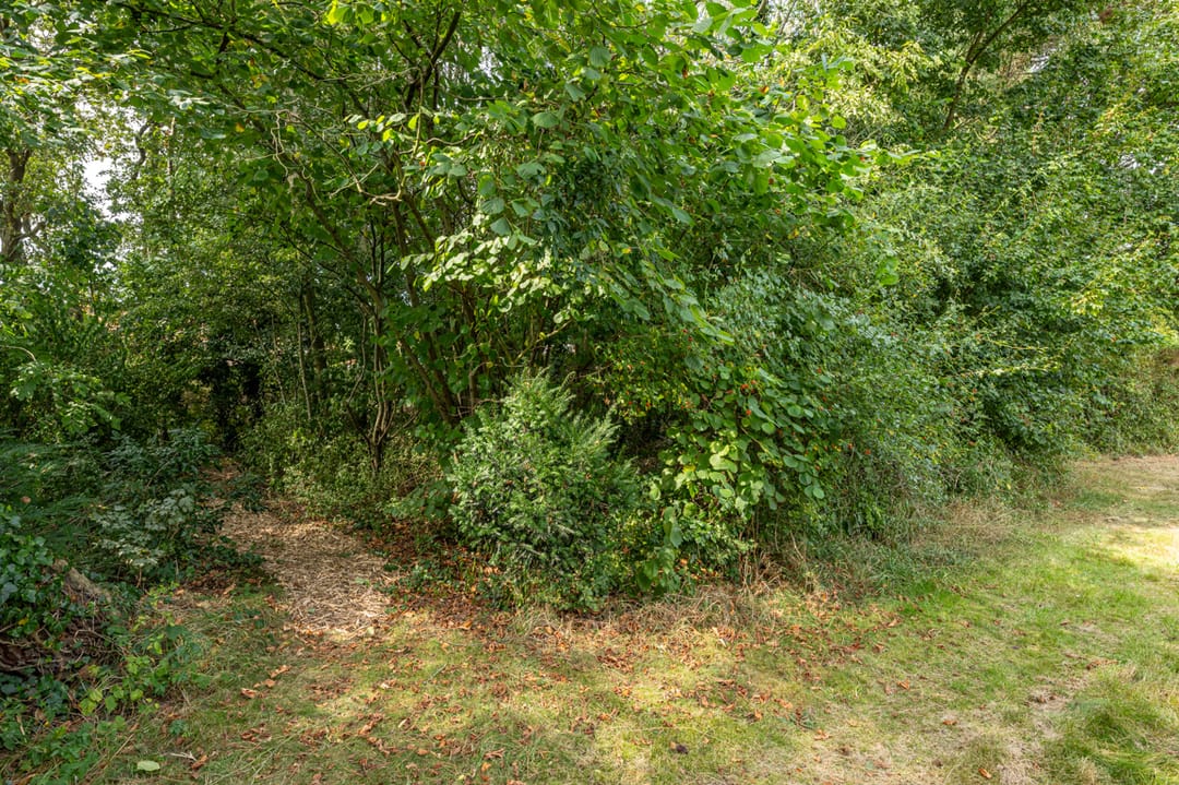 Photo 56 of Julianaweg 1