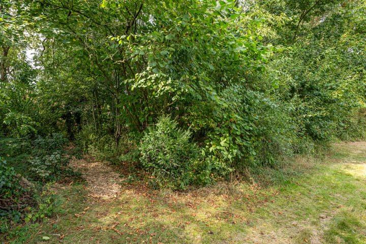 Foto 56 van Julianaweg 1