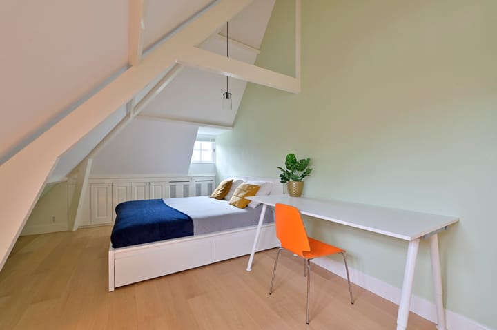 Foto 28 van Johan de Wittlaan 26