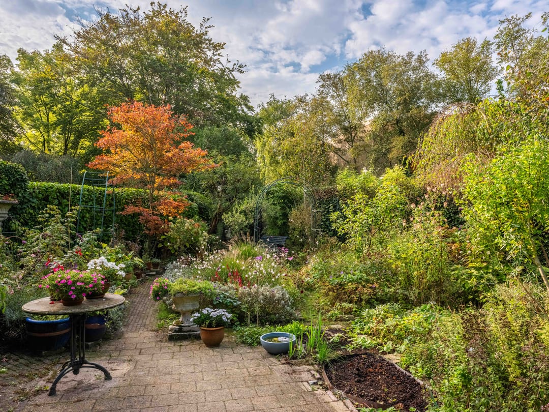 Photo 28 of Jan van Scorelpark 13