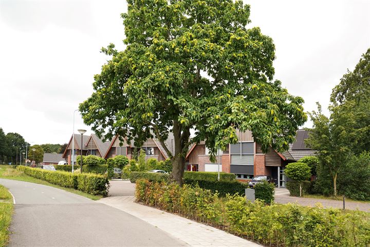 View photo 56 of Kraakweg 10