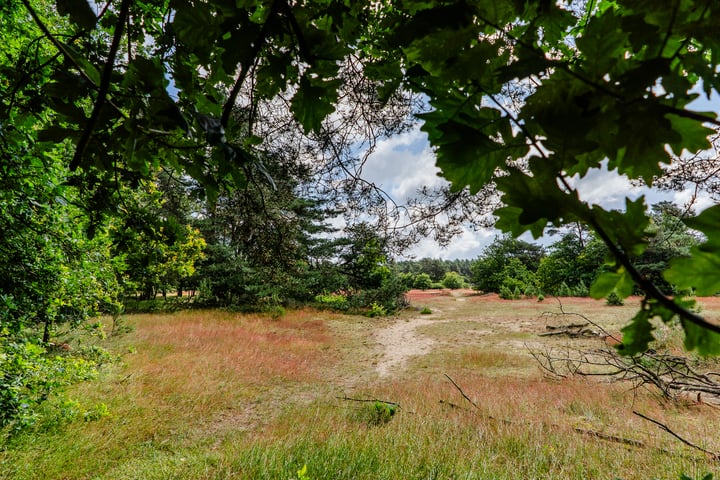 Bekijk foto 38 van Kerkendelweg 30-61