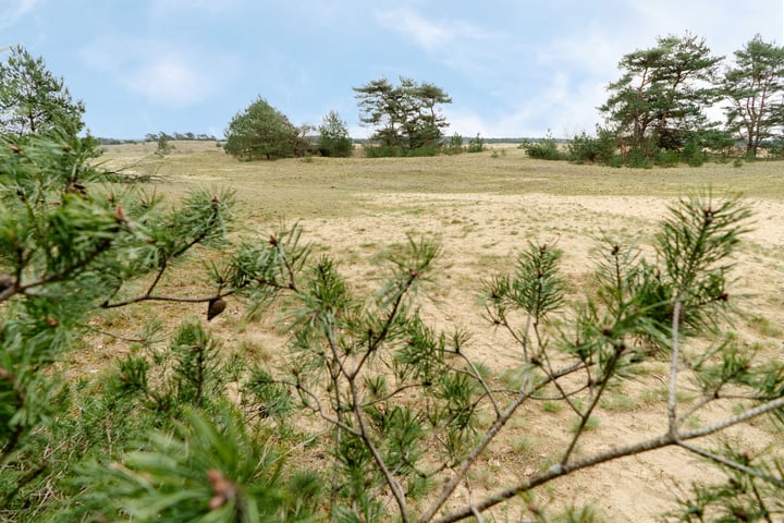 Bekijk foto 39 van Kerkendelweg 30-61