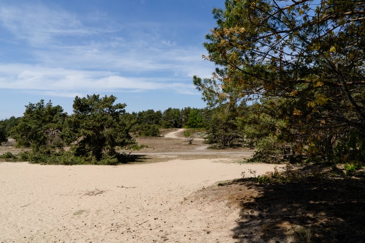 Bekijk foto 41 van Kerkendelweg 30-61