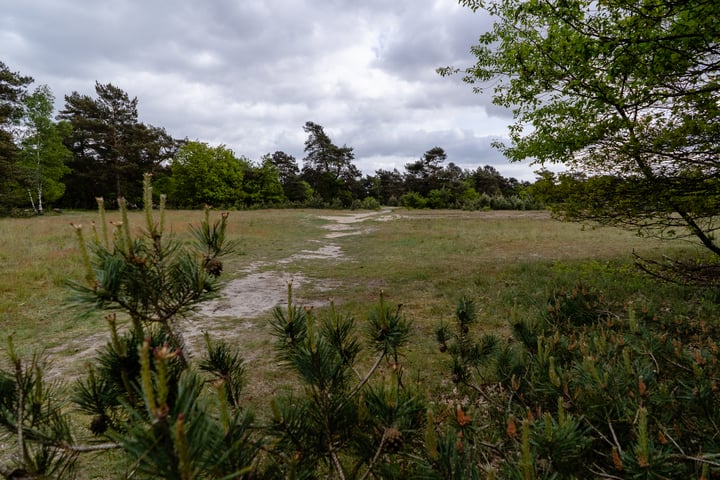 Bekijk foto 42 van Kerkendelweg 30-61