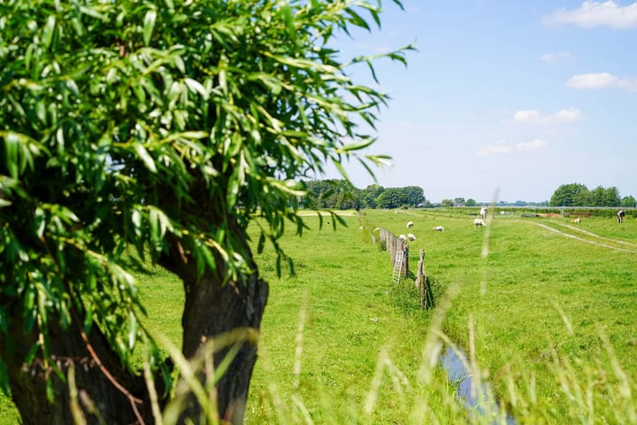 Foto 20 van Westkanaalweg 19-4