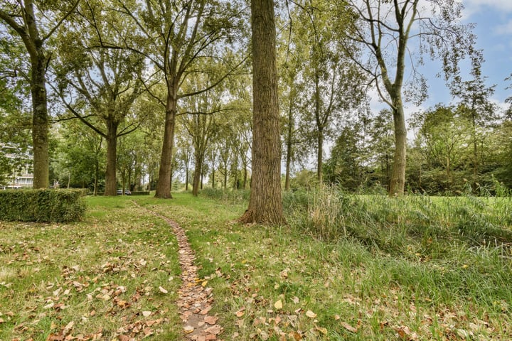 Bekijk foto 16 van Martin Luther Kinglaan 440