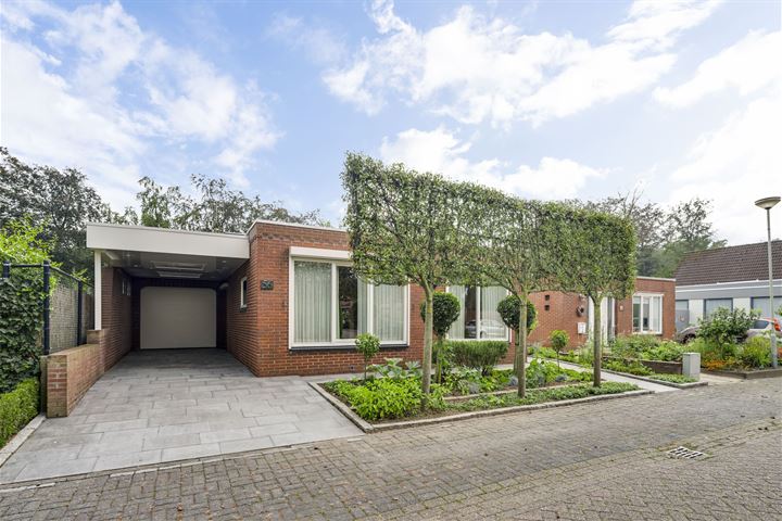 Bekijk foto 1 van Van Pallantstraat 56