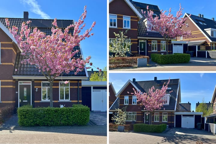 Foto 35 van Tafelbergerhout 16