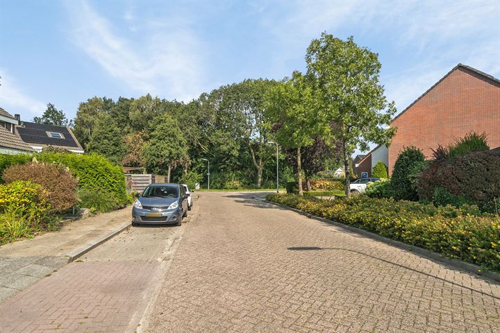 View photo 31 of Vrijheidsplaat 36