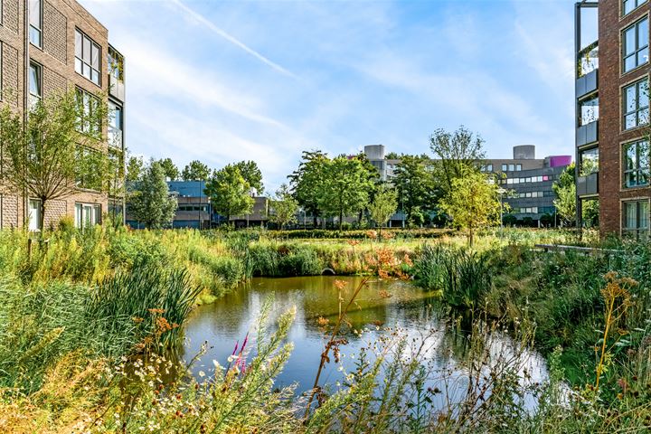 Bekijk foto 35 van Kopermolen 247