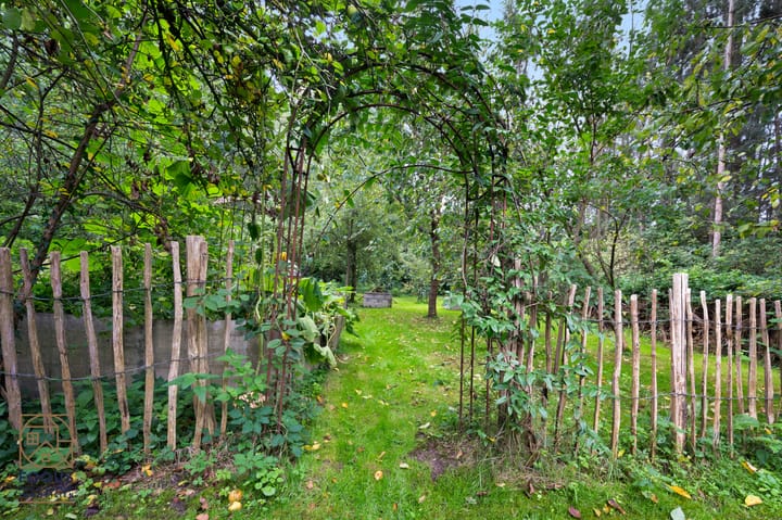 Foto 55 van Emsstraße 10