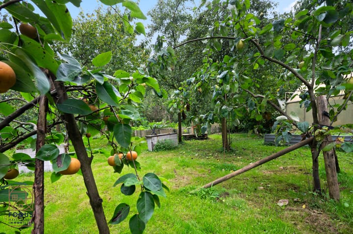 Foto 57 van Emsstraße 10