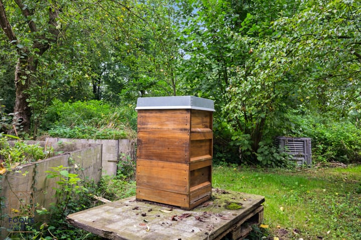 Foto 58 van Emsstraße 10