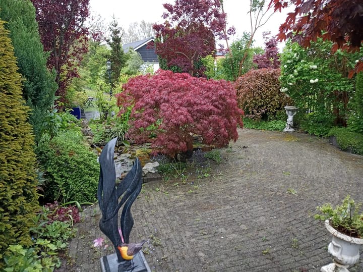 Foto 51 van Nieuweweg 7