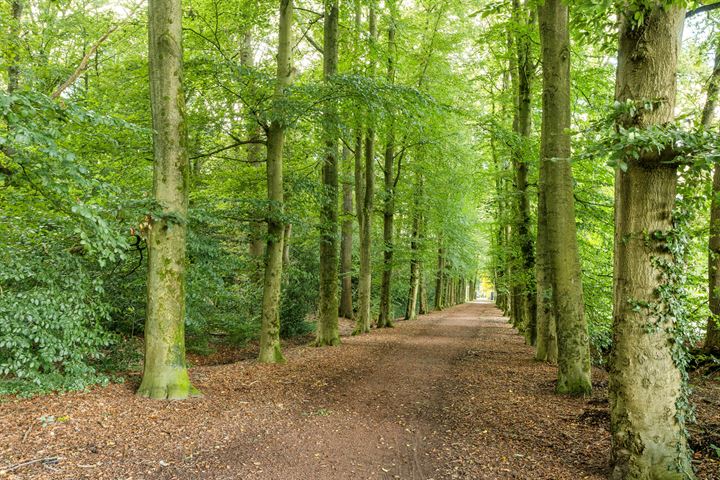 Bekijk foto 39 van van Heuven Goedhartlaan 61