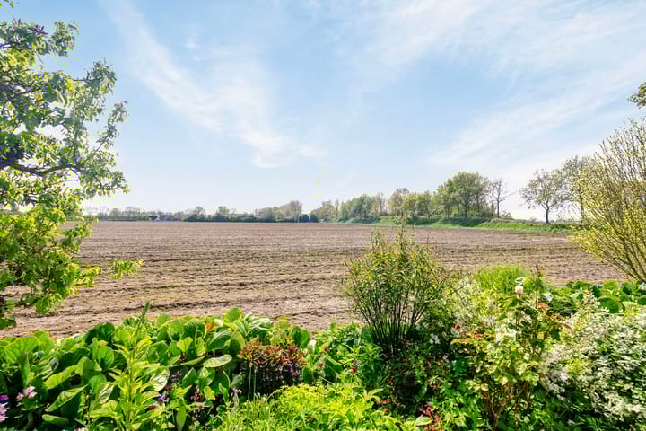 Foto 34 van Korteviele 5