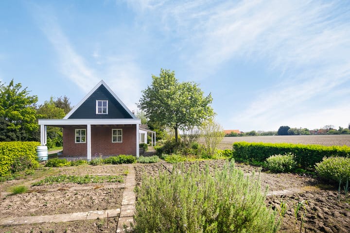 Foto 38 van Korteviele 5