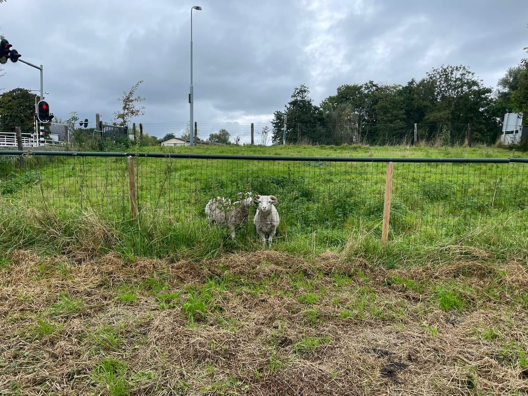 Foto 16 van Bennebroekerdijk 54