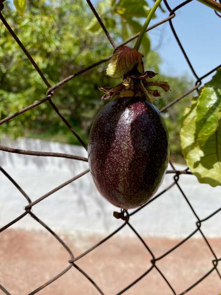 Foto 37 van Real Alto